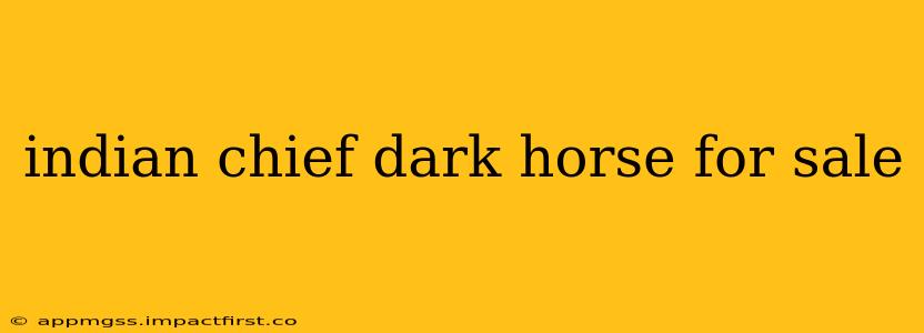 indian chief dark horse for sale