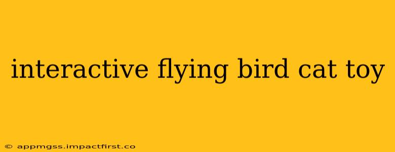 interactive flying bird cat toy