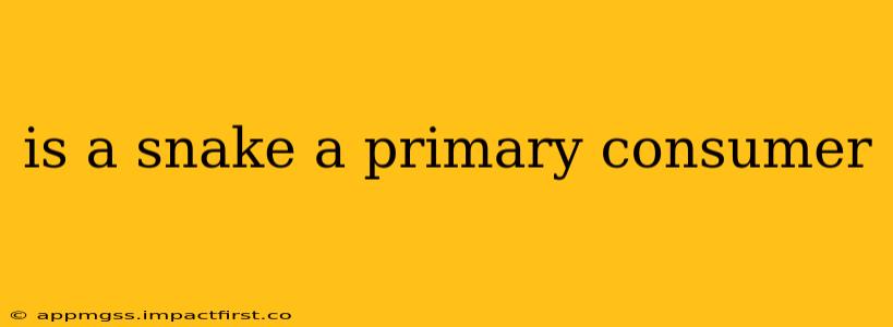 is a snake a primary consumer