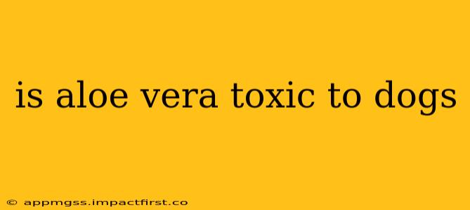 is aloe vera toxic to dogs