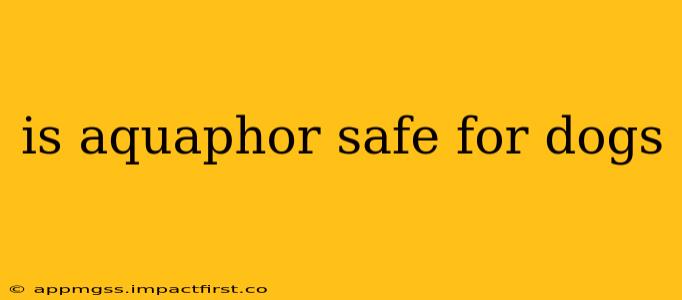 is aquaphor safe for dogs