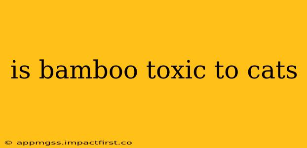 is bamboo toxic to cats
