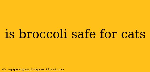 is broccoli safe for cats