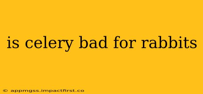 is celery bad for rabbits