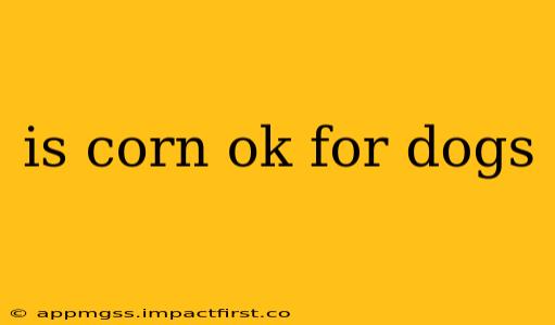 is corn ok for dogs
