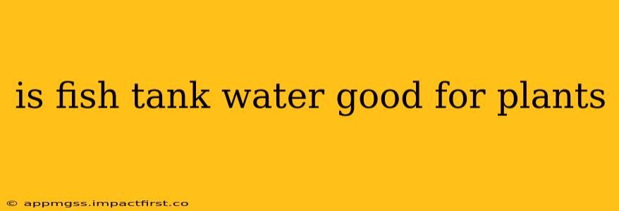 is fish tank water good for plants