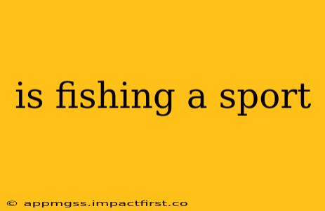 is fishing a sport