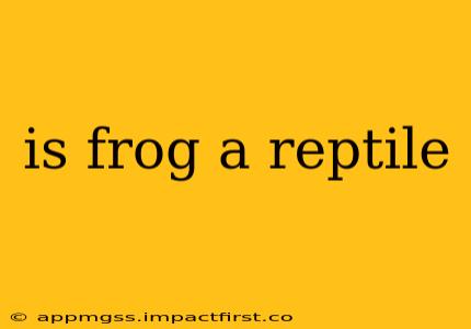 is frog a reptile