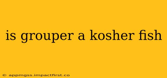 is grouper a kosher fish