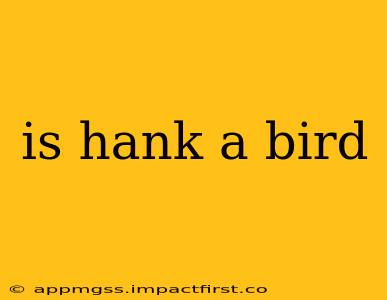 is hank a bird