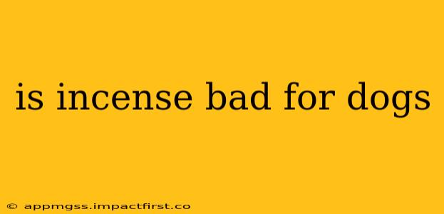 is incense bad for dogs