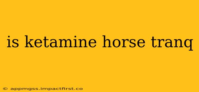 is ketamine horse tranq