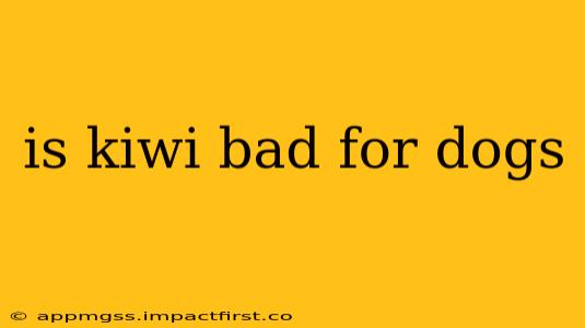 is kiwi bad for dogs
