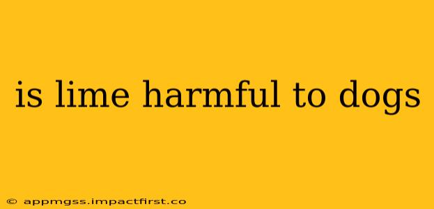 is lime harmful to dogs