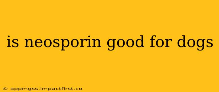 is neosporin good for dogs
