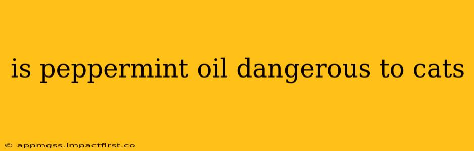 is peppermint oil dangerous to cats