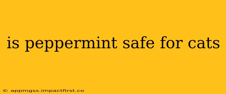 is peppermint safe for cats