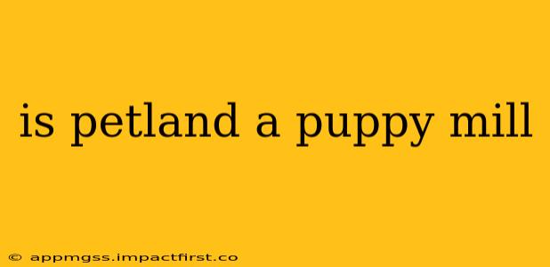 is petland a puppy mill