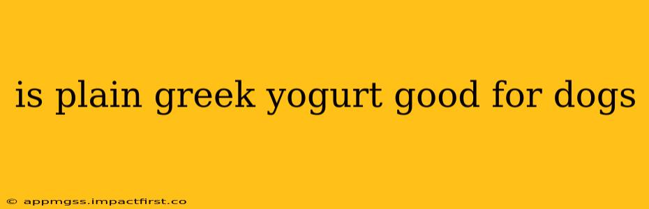 is plain greek yogurt good for dogs