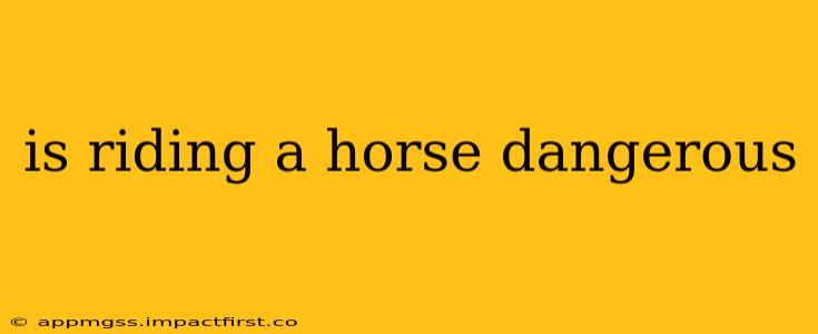is riding a horse dangerous
