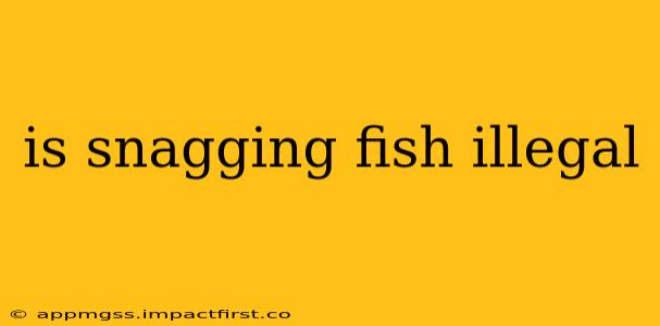 is snagging fish illegal