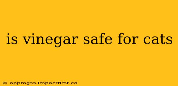 is vinegar safe for cats