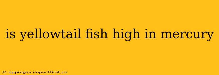 is yellowtail fish high in mercury