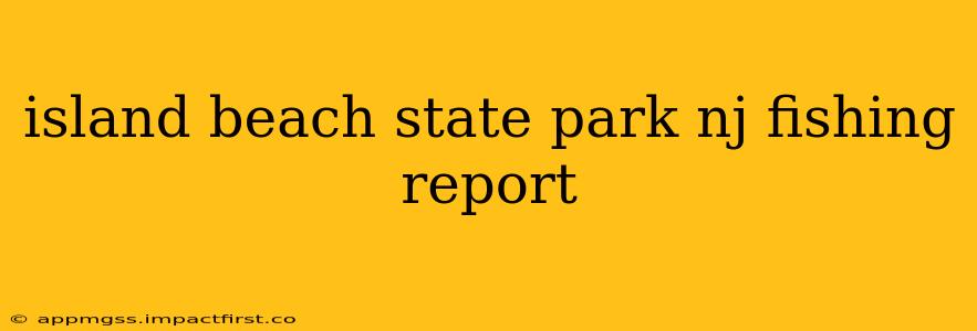 island beach state park nj fishing report