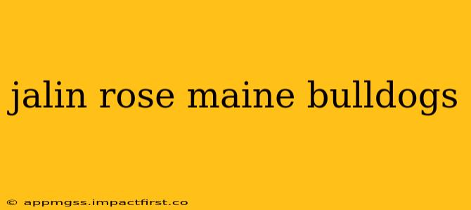 jalin rose maine bulldogs