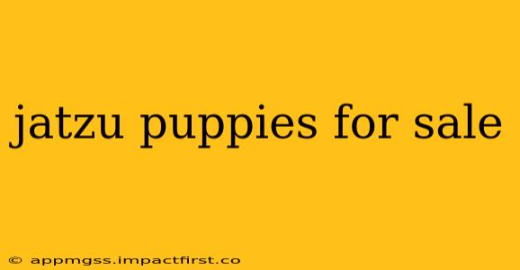 jatzu puppies for sale