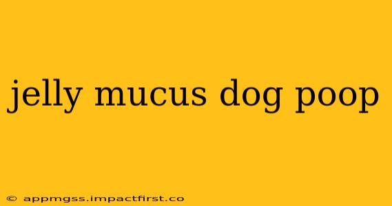 jelly mucus dog poop