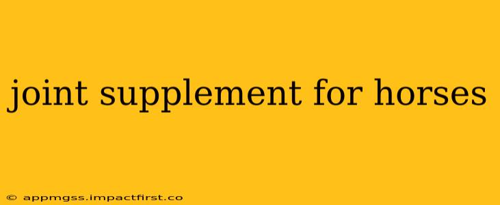 joint supplement for horses