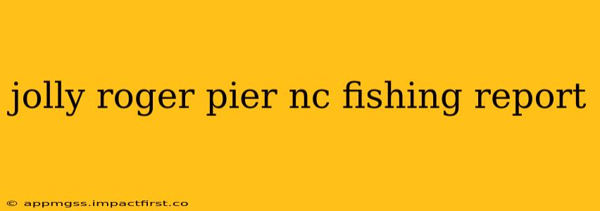 jolly roger pier nc fishing report