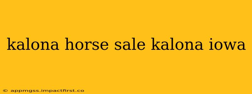 kalona horse sale kalona iowa