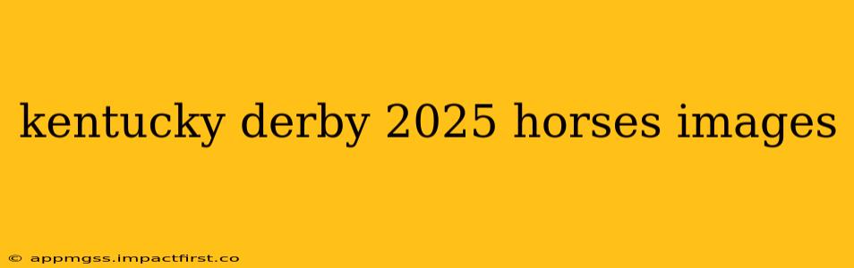 kentucky derby 2025 horses images