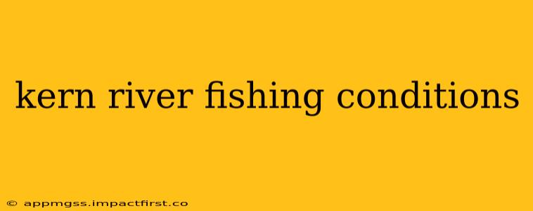 kern river fishing conditions