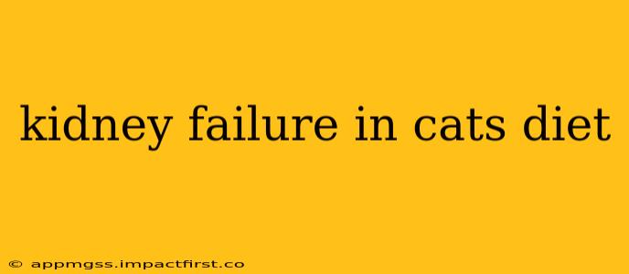 kidney failure in cats diet