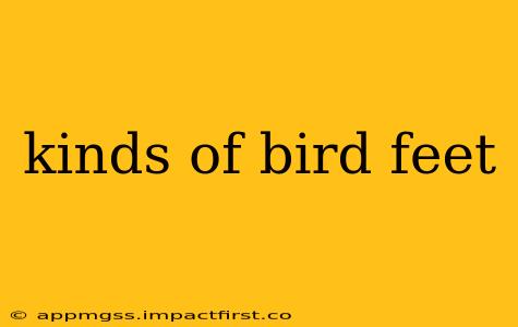 kinds of bird feet