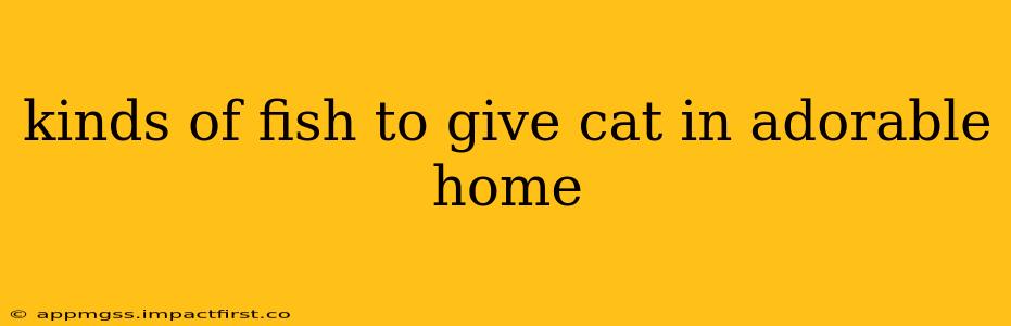 kinds of fish to give cat in adorable home