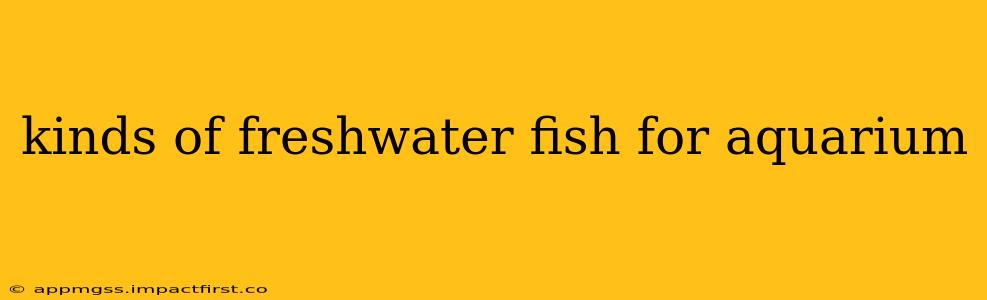 kinds of freshwater fish for aquarium
