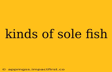 kinds of sole fish
