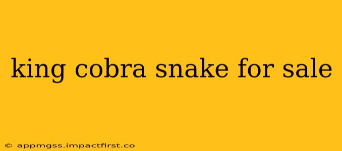 king cobra snake for sale