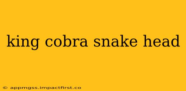king cobra snake head