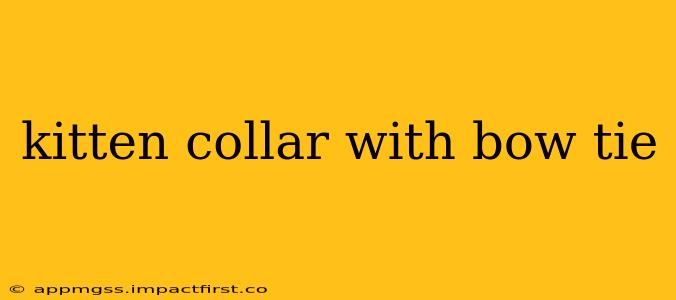 kitten collar with bow tie