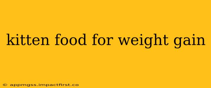 kitten food for weight gain