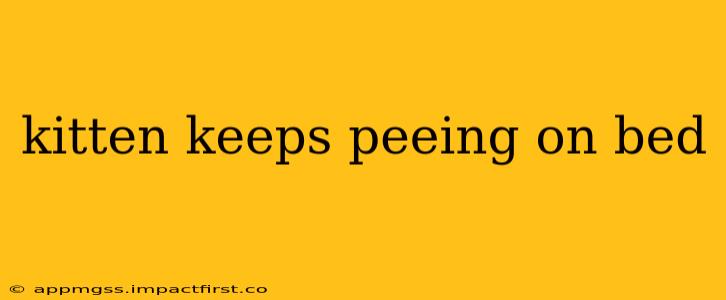kitten keeps peeing on bed
