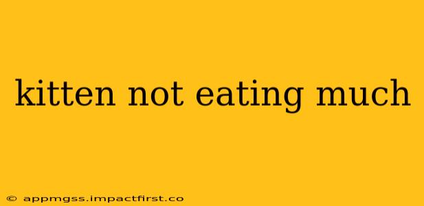 kitten not eating much