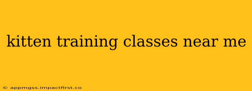 kitten training classes near me