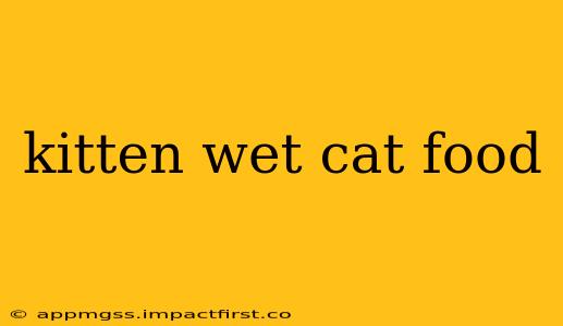 kitten wet cat food