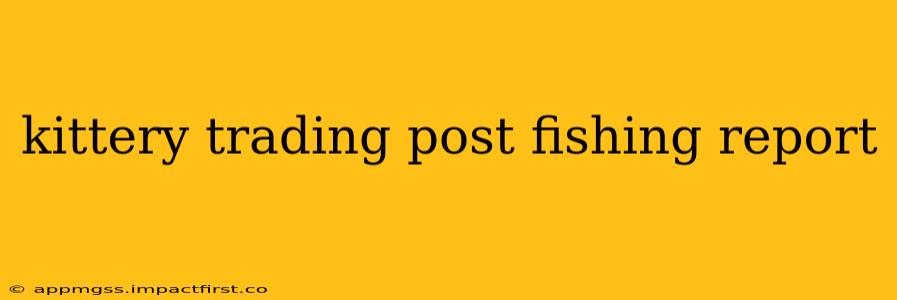 kittery trading post fishing report
